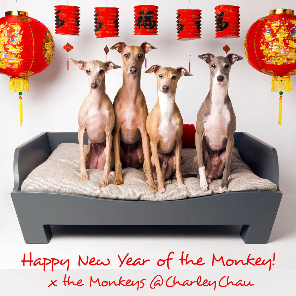 Happy Chinese New Year of the Monkey