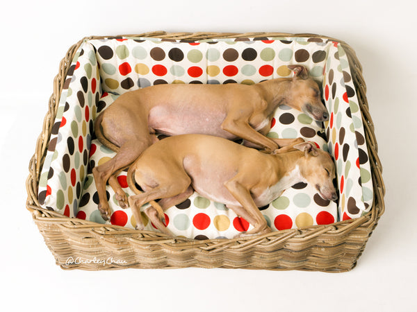 Charley Chau Dressed Greywash Rattan Dog Bed in Great Spot