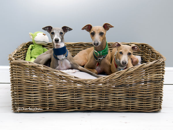 Charley Chau Rattan Dog Basket