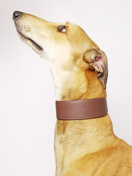 Bespoke Leather Greyound Dog Collar by P'etiquette at Charley Chau