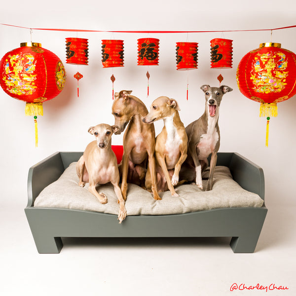 Chinese New Year with the Charley Chau Pack