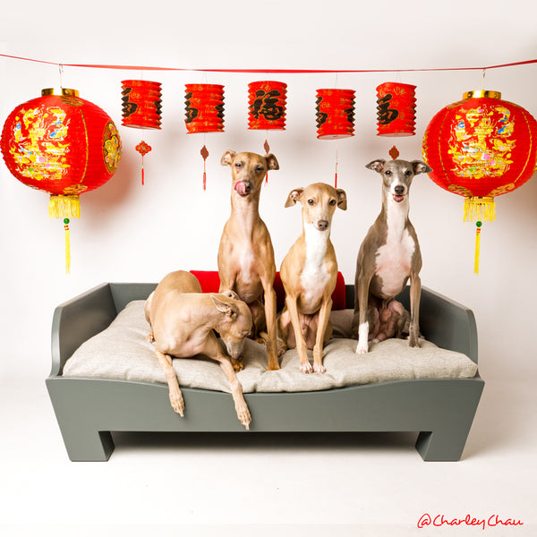 Chinese New Year with the Charley Chau Pack