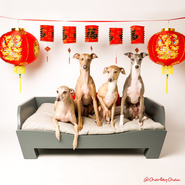 Chinese New Year with the Charley Chau Pack