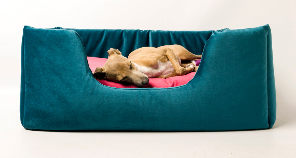 Deeply Dishy Luxury Dog Bed in Velour