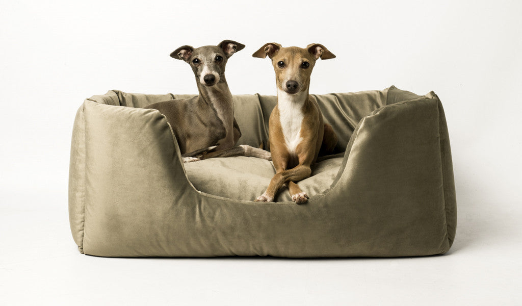 Deeply Dishy Dog Bed in Velour Cloud & Silver