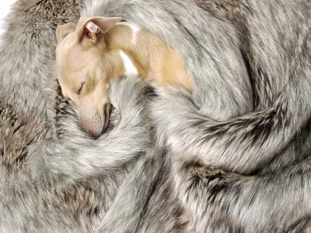 Charley Chau Faux-Fur Dog Blanket in Silver Fox