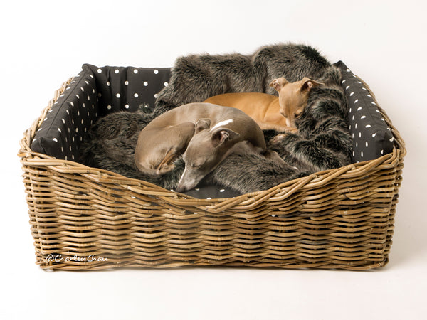 Dressed Greywash Rattan Basket in Dotty Charcoal 