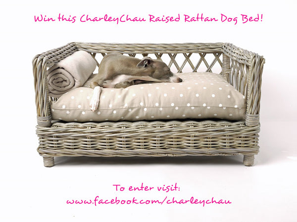 Charley Chau Raised Rattan Dog Bed Prize Draw