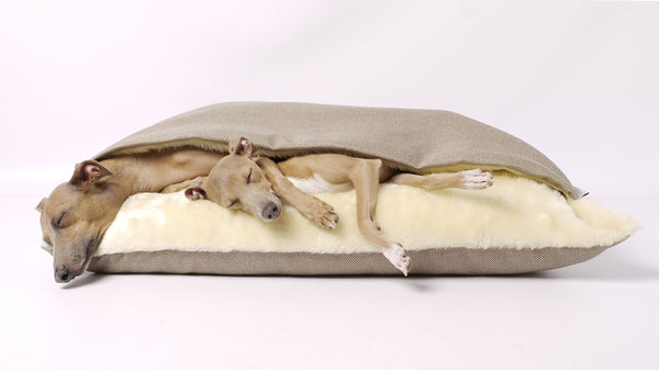 Charley Chau Snuggle Bed - Italian Greyhounds sleeping