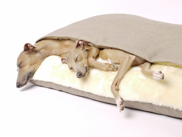 Charley Chau Luxury Dog Snuggle Bed