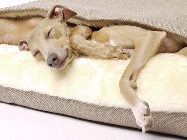 Charley Chau Snuggle Bed - Italian Greyhound 