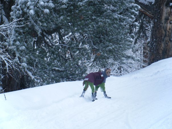 Charley in the Alps