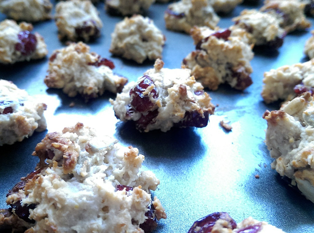 Cheese & Cranberry Granola Bites for dogs