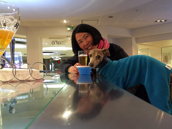 dog friendly bar - Paris Orly Novotel