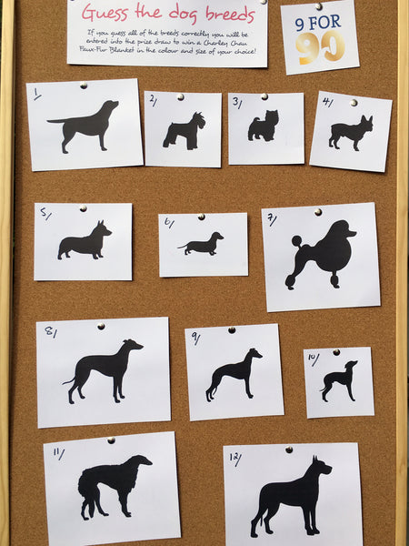 Guess the Dog Breeds Competition Board