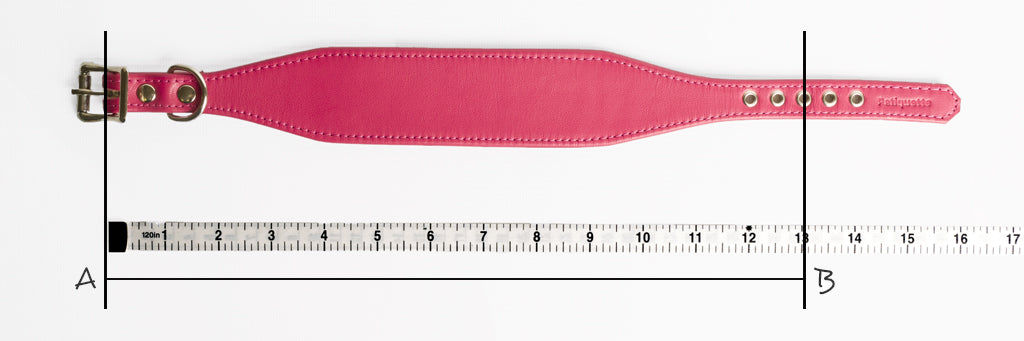 Measuring for a bespoke leather dog collar