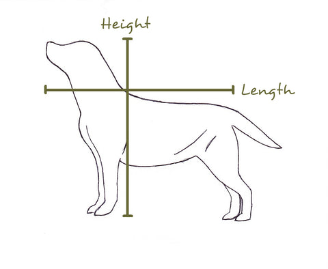 Measuring the height and length of your dog