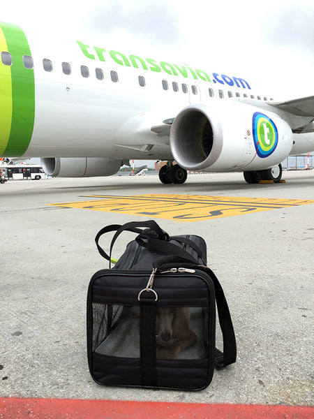 Theo on the tarmac at the aiport