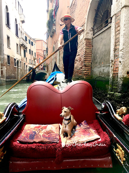 Theo on a gondola in Venice