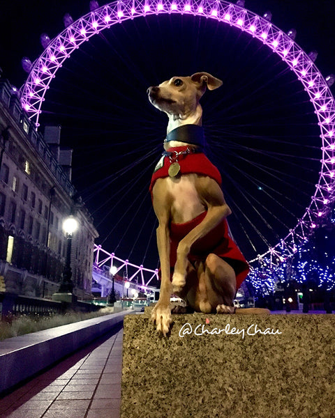 Theo at the London Eye