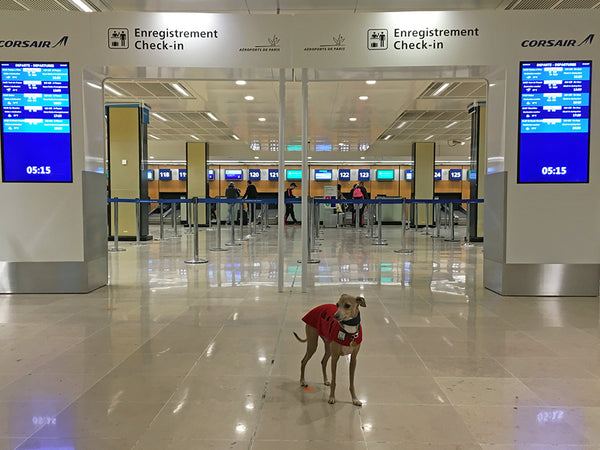 Dog friendly Paris Orly Airport