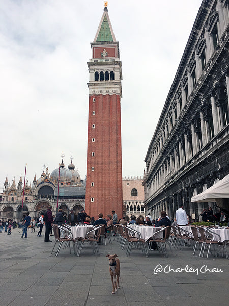 Theo at Piazza San Marco in Venice