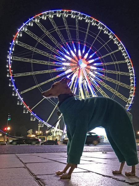 Theo at the Roue de Paris