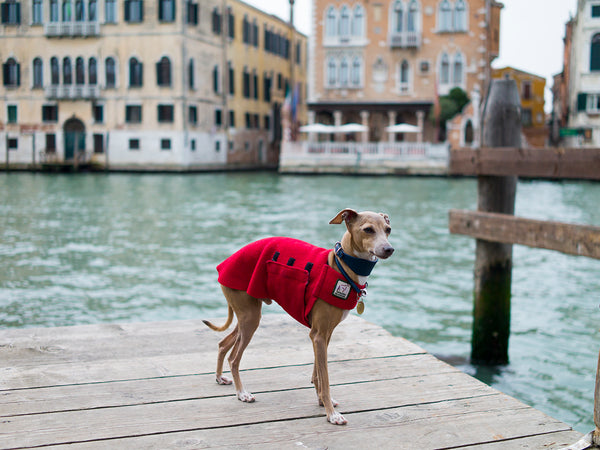 Theo in Venice