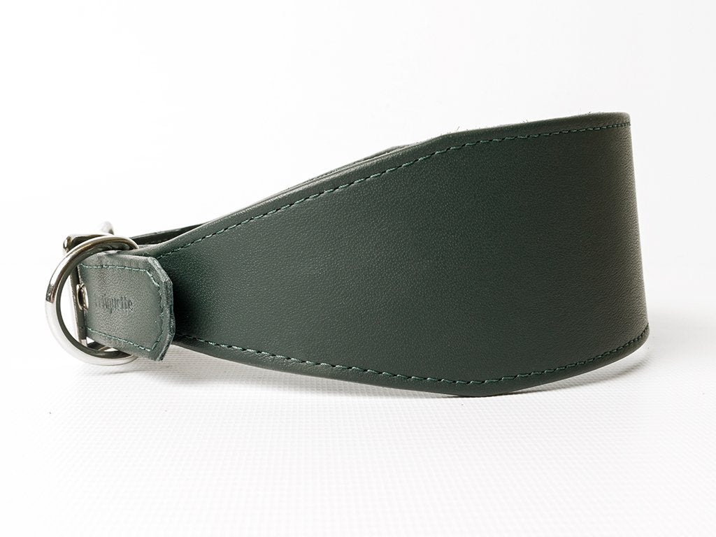leather greyhound collars