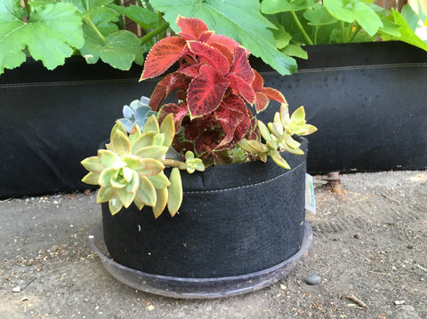 GeoPot