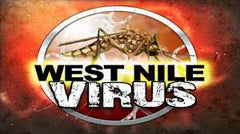 Beware of West Nile Virus