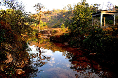 Pond Water Cleaning