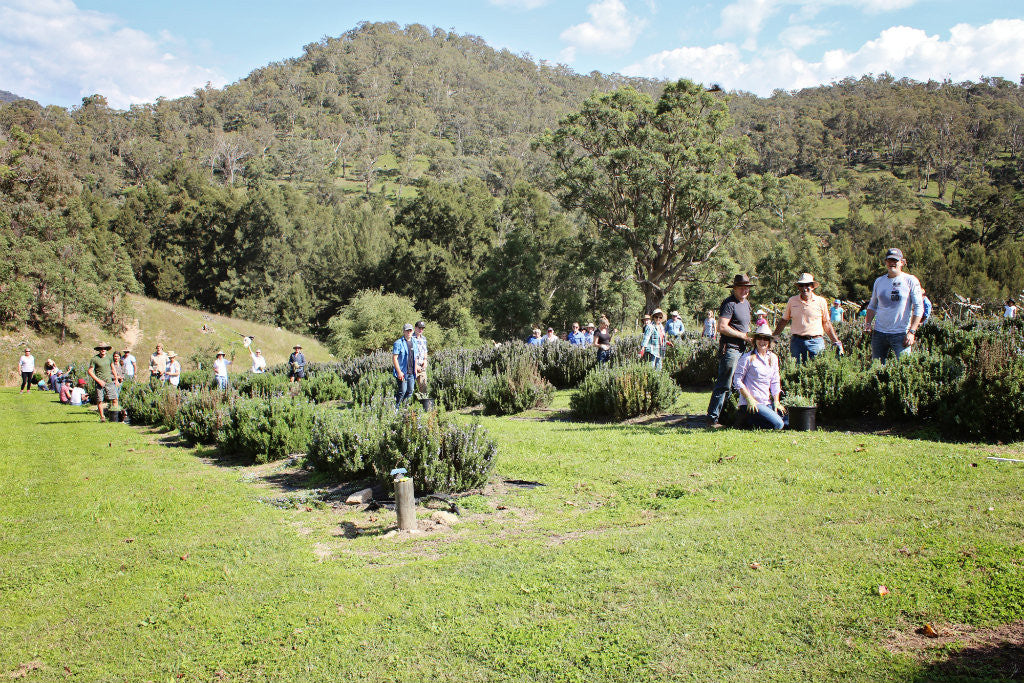 David and Cathy Harris' Farm - Anzac 2017