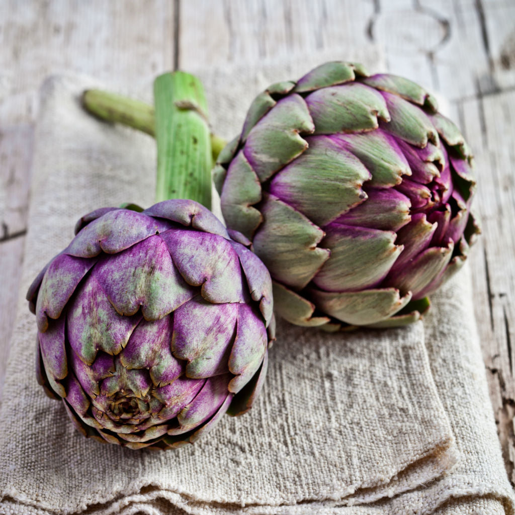 Collection 92+ Images show me a picture of an artichoke Excellent