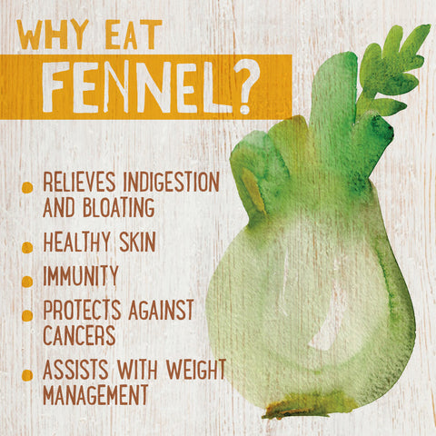 Fennel, a dietitian's guide