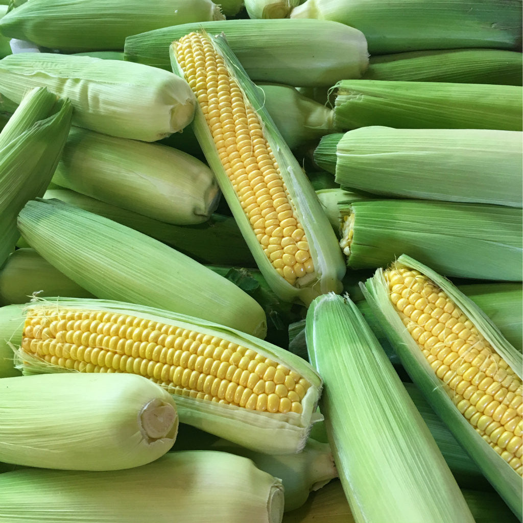 Pick of the Week - Corn on the Cob