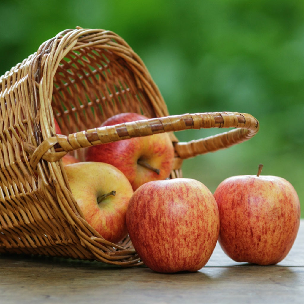 4 reasons to eat an apple a day