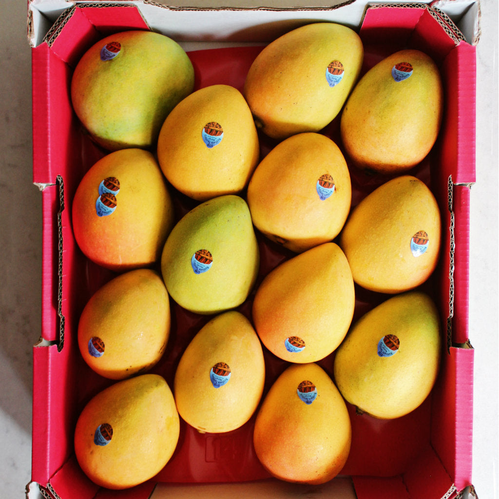 NT KP Tray Mangoes - Pick of the Week