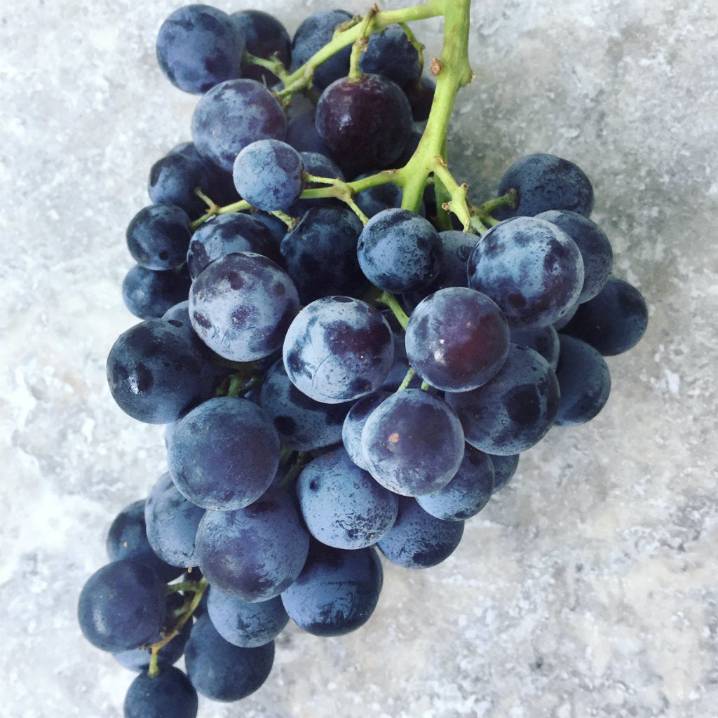 Pick Of The Week Black America Grapes Harris Farm Markets