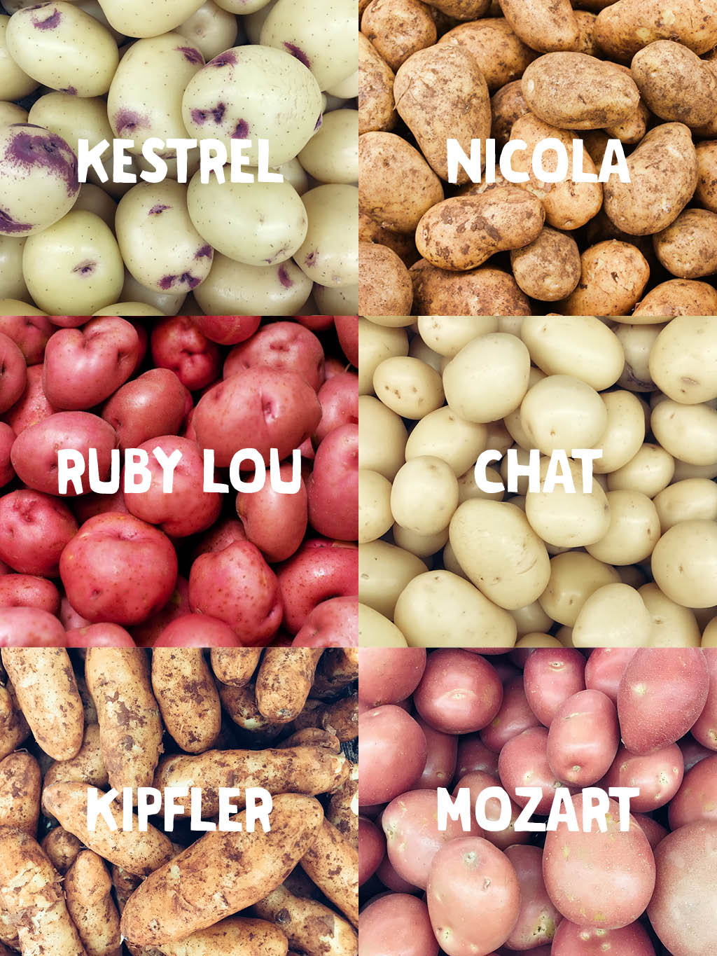 Difference Between Red & White Potatoes