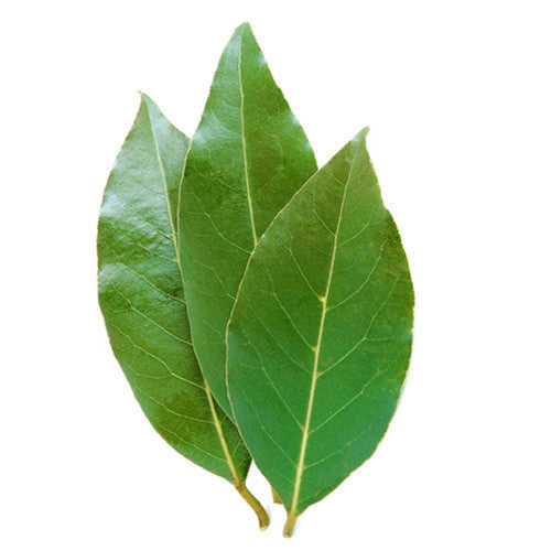 Buy Bay Leaves From Harris Farm Online Harris Farm Markets