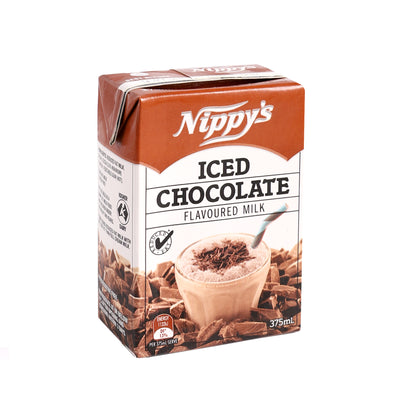 Chocolate Flavoured Milk [375ml]-Taste Singapore
