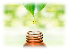 Seed Body & Skin care offers essential oil benefits