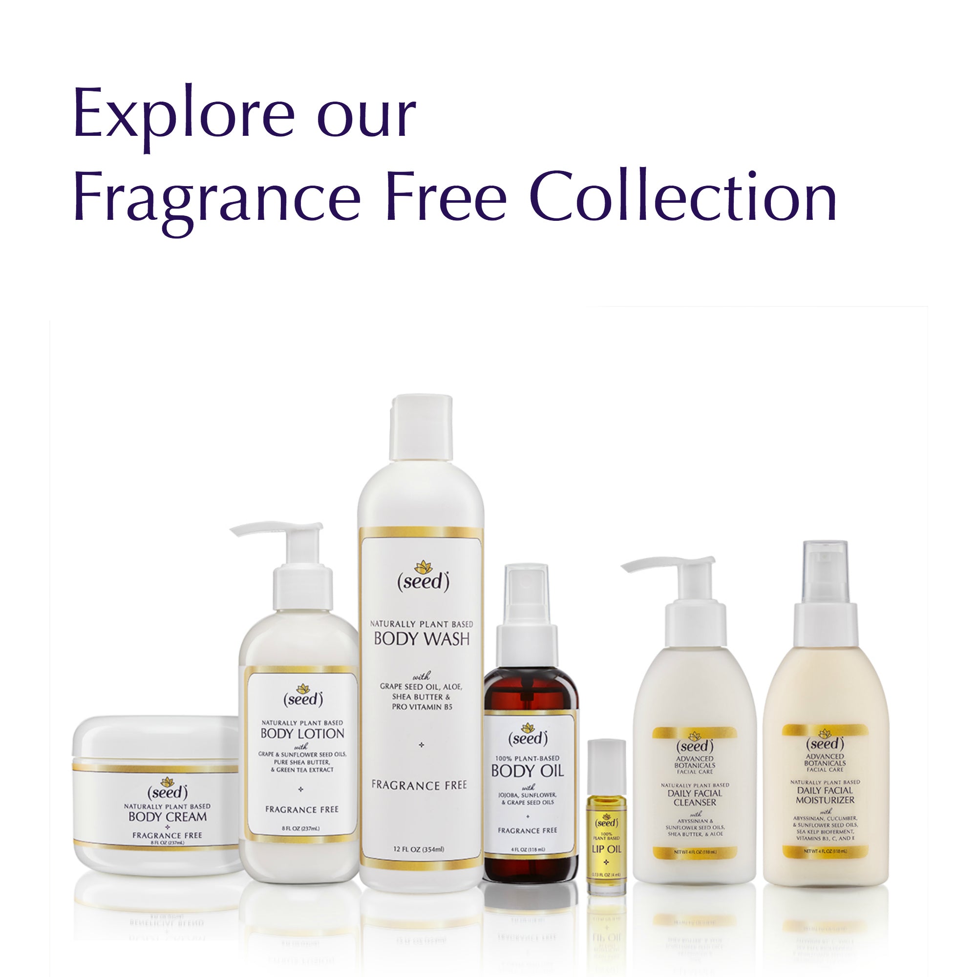 Seed fragrance free for those searching for hypoallergenic natural body and face care