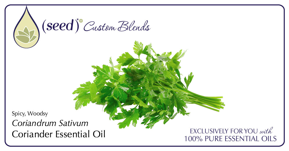 Seed Custom Blends offer Coriander Essential Oil
