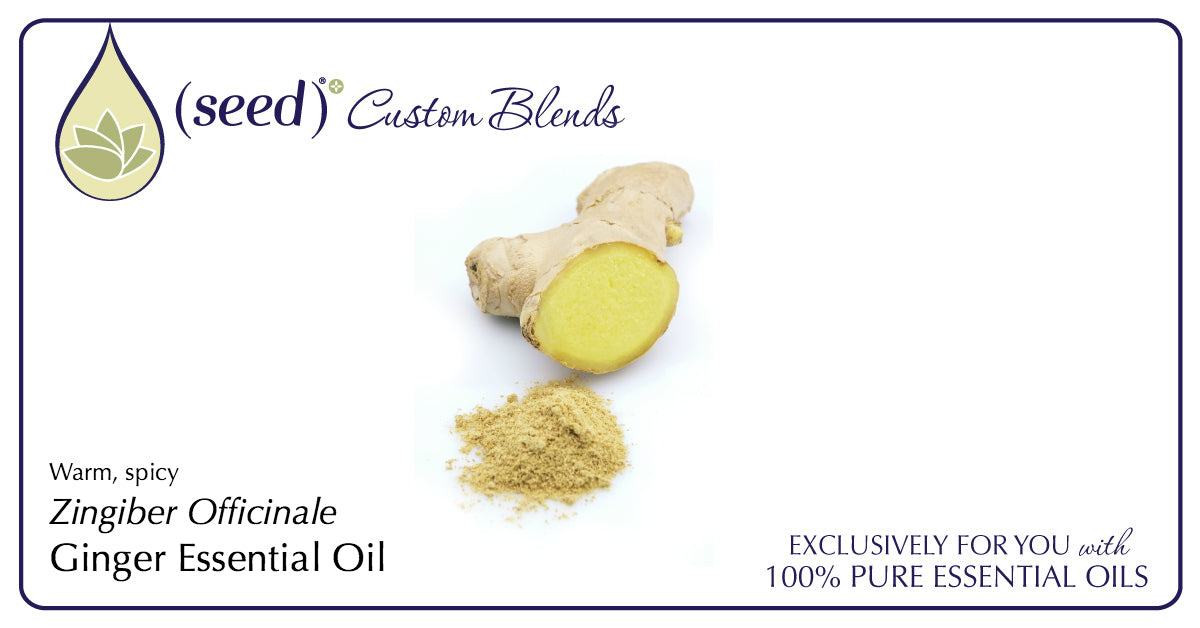 Seed Custom Blends offer Ginger Essential Oil
