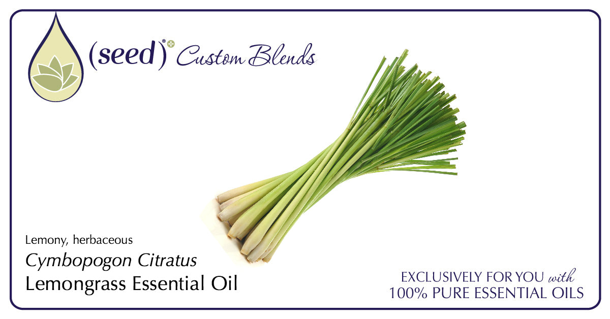 Seed Custom Blends offer Lemongrass Essential Oil