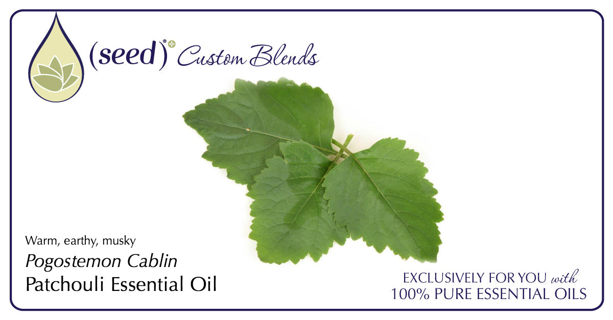 Seed Custom Blends offer Patchouli Essential Oil