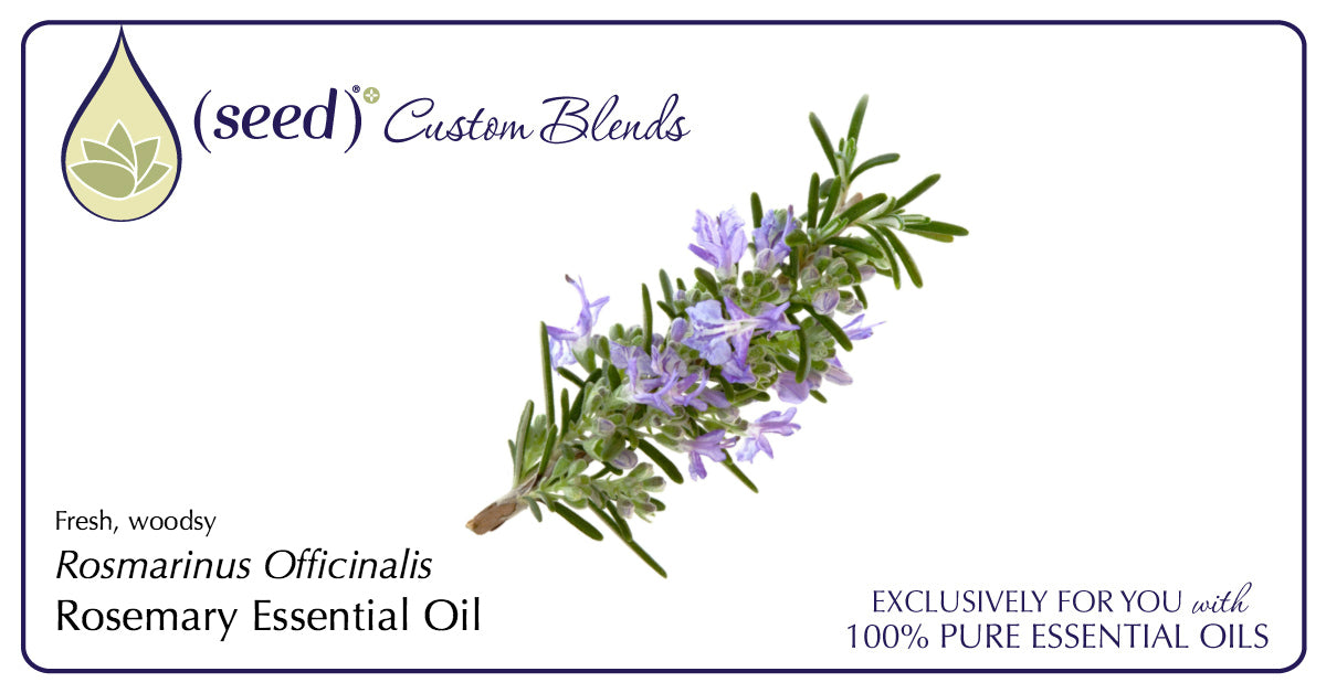 Seed Custom Blends offer Rosemary Essential Oil