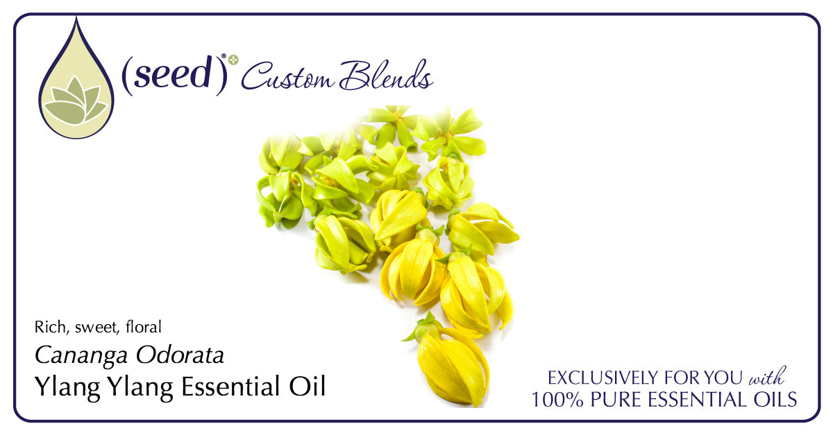 Seed Custom Blends offer Ylang Ylang Essential Oil